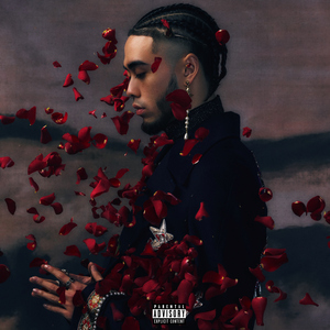 青娱乐最新地址
