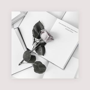 青娱乐最新地址
